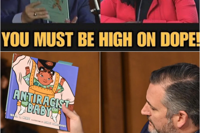 YOU THINK WHITE BABIES ARE RACIST? Ted Cruz UNLEASHES on Leftist Judge
