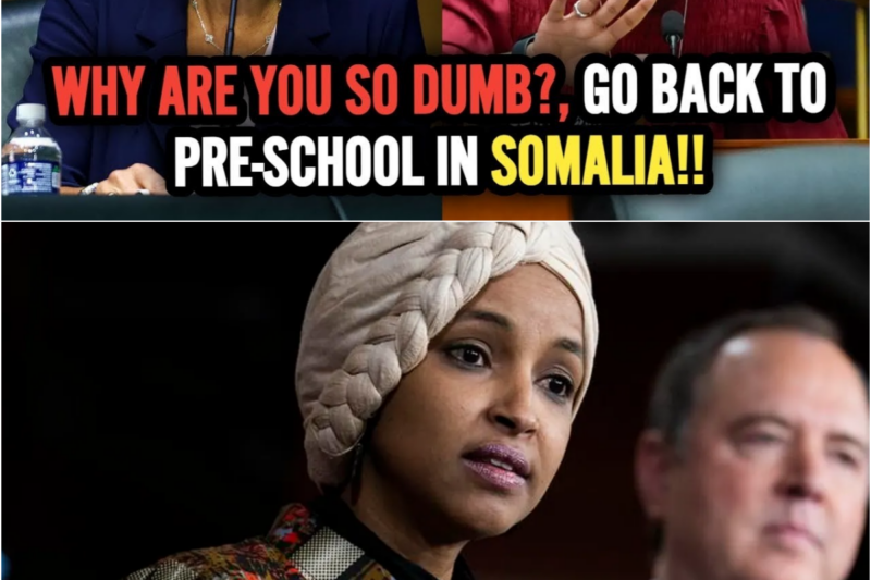 CONGRESS ERUPTS IN LAUGHTER as SMART Businesswoman HUMILIATES Ilhan Omar With One BRILLIANT Response!
