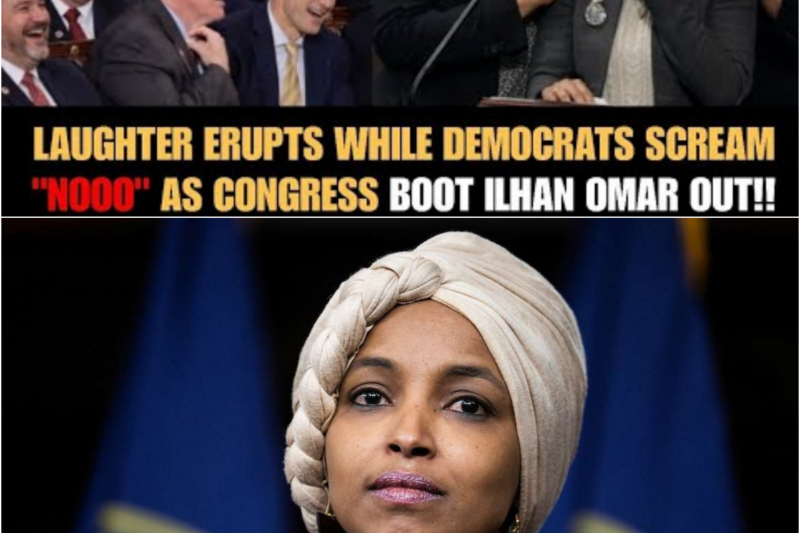 Democrats SCREAM IN TEARS As Ilhan Omar Gets BOOTED From Congress Committee