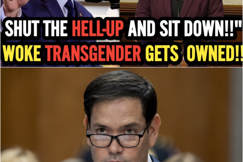 MARCO RUBIO SHUTS DOWN Democrat Transgender Lawmaker in FIERY Congressional Clash — Room Falls Silent!
