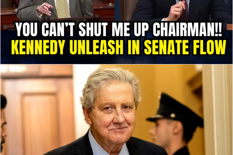 PISSED-OFF Sen. Kennedy FLIPS THE SCRIPT on Cocky Democrat Congressman — What Happened NEXT Left the Room STUNNED!