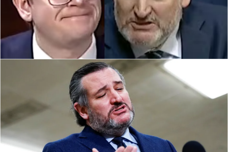 ‘What Party Wrote The Jim Crow Laws In The South?’: Ted Cruz Questions Witness On Dem Party HIstory