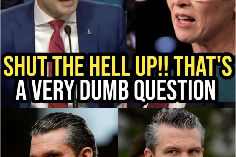 Pete Hegseth and Rep. Chrissy Houlahan Clash Over Women in Combat as Heated Hearing Exposes a Growing Military Divide
