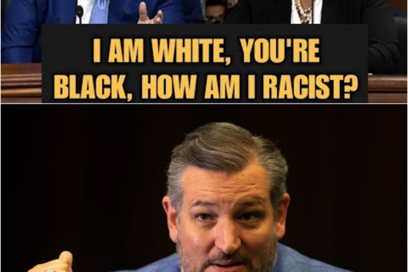 LAWYER TRIES to Label Ted Cruz a RACIST — Seconds Later, the Hearing Takes a SHOCKING Turn Nobody Saw Coming!