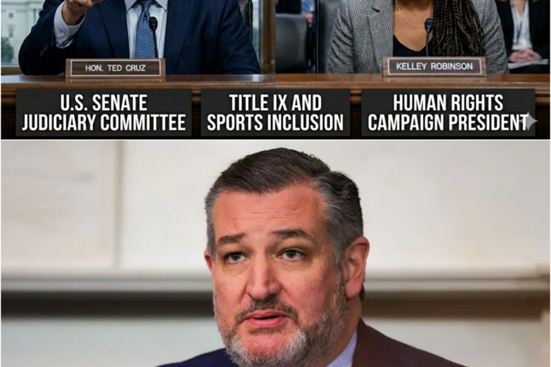 TED CRUZ STUNS Senate Hearing With ONE Simple Question — Room Falls Silent as Debate Over Women’s Sports ERUPTS!