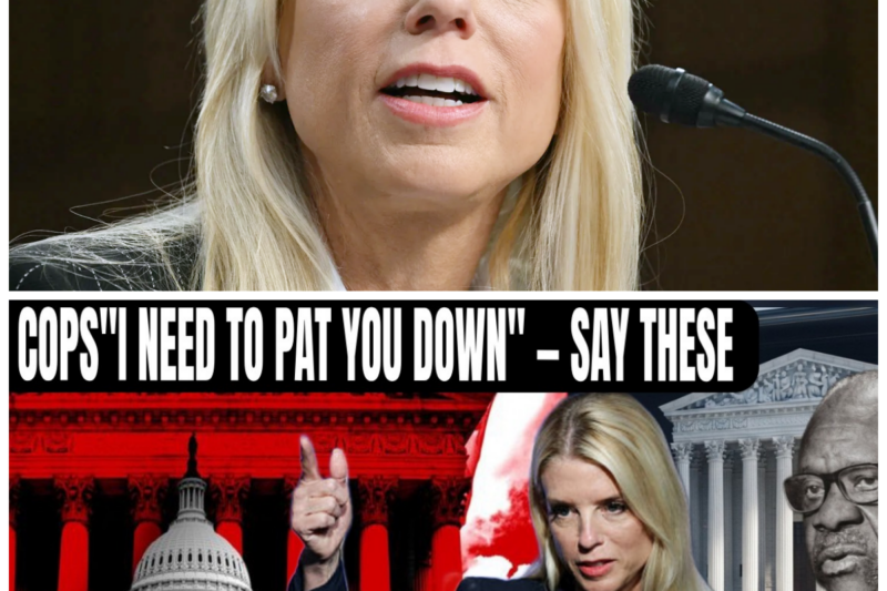 “What to Say If Cops Want to Pat You Down: ‘Don’t Miss This Important Advice!'”  In the event that police officers say, “I need to pat you down,” it’s crucial to know what to say to protect your rights. Experts advise responding with, “I do not consent to a search,” as this statement can assert your position and help maintain control over the interaction. Being informed and prepared can significantly impact the outcome of such encounters! The full story is in the comments below.
