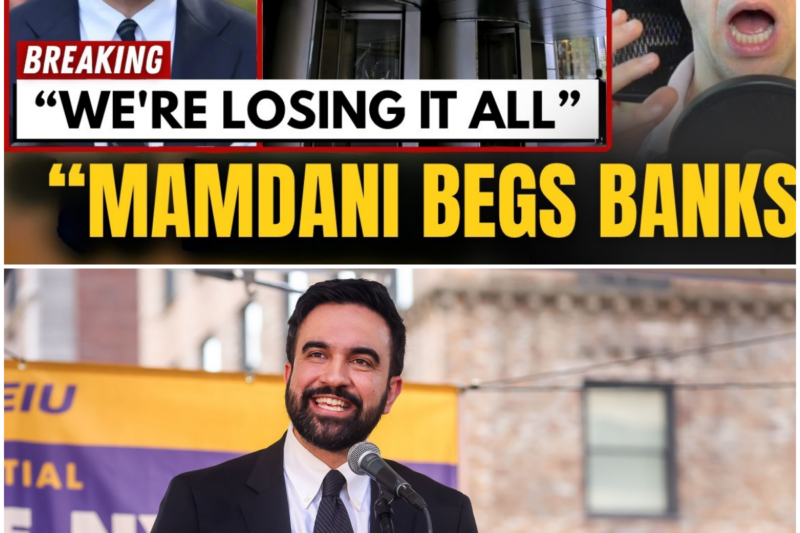 Mayor Mamdani LOSES IT After Goldman Sachs MOVES More Jobs Out Of NYC To Dallas