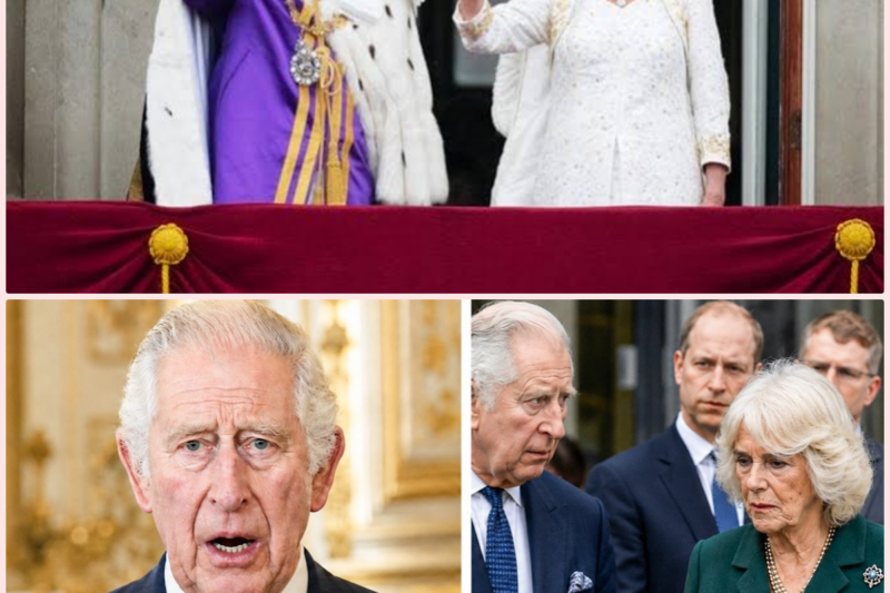 BREAKING: King Charles STUNNED Entire UK After Stripping Camilla’s Final Title