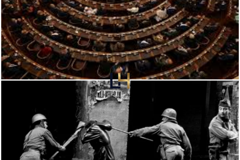 Algerian senate urges review of law declaring French colonisation a crime