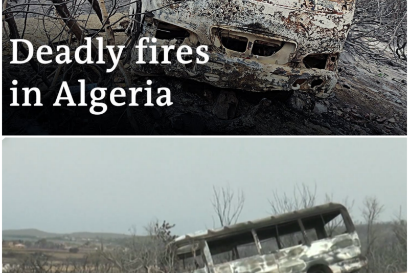 Algeria wildfires kill at least 38, hundreds more left with burns or respiratory problems