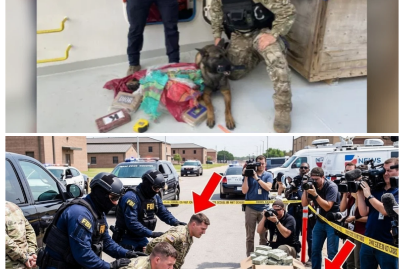 600 Arrested 1n B1ggest Cal1forn1a Human Traff1ck1ng Bust — 170 V1ct1ms Freed