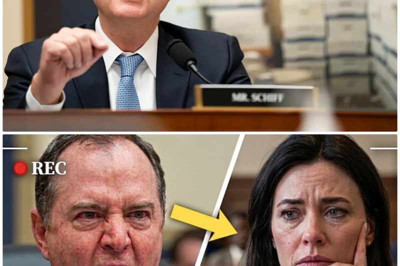 Trump Nominee FREEZES After Adam Schiff Reveals She Never Tried A Case