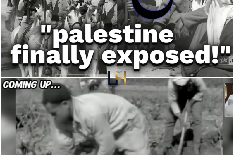 Here’s The Video The Muslim World Doesn’t Want You To See...