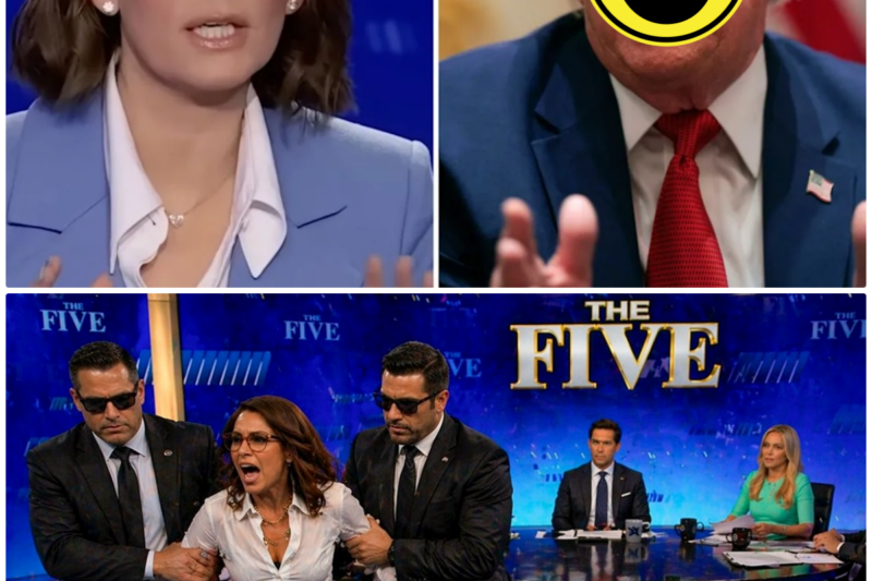 Jessica Tarlov KICKED OUT OF ‘The Five’ SHOW FRIDAY NIGHT: “YOU’RE A RACIST!”