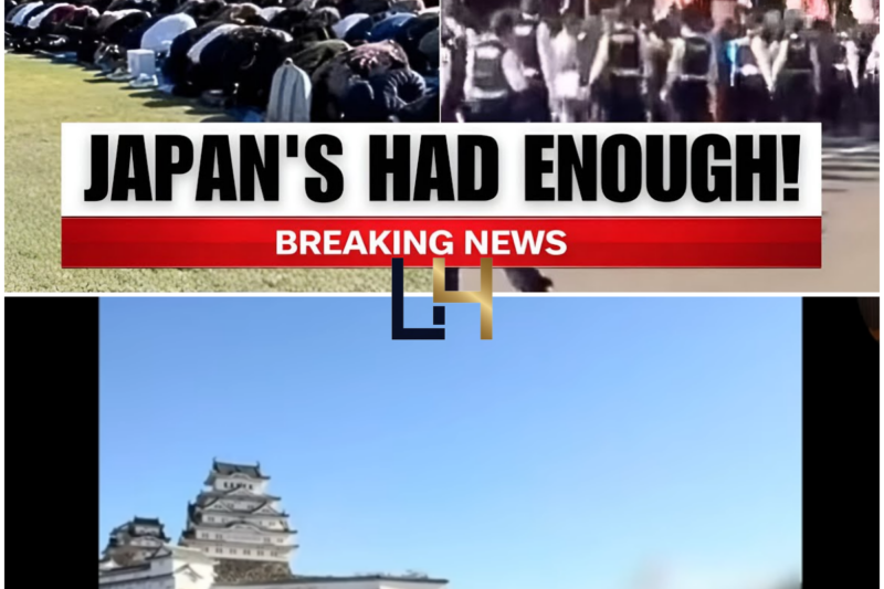 Muslims THOUGHT They Can Make Japan Islamic, Then Japanese Push Back HARD!