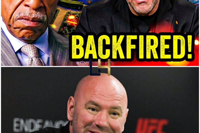Dana White Gives BRUTAL Reality Check for Al Sharpton After UFC OUTRAGE!!!