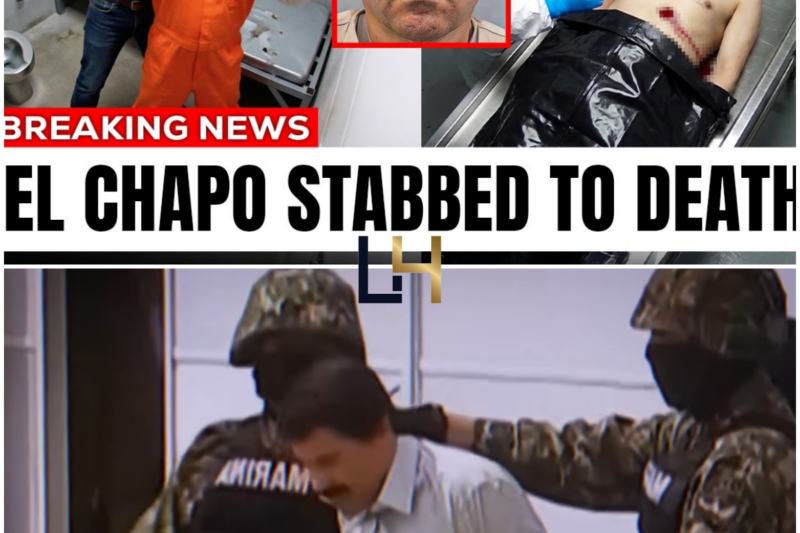 Cartel Bosses Who Got Killed By Their Own Son