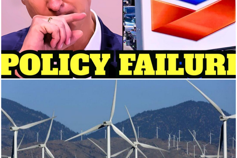 Newsom PANICS as Energy Leaders Leave California FOREVER.. You Won’t Believe Why