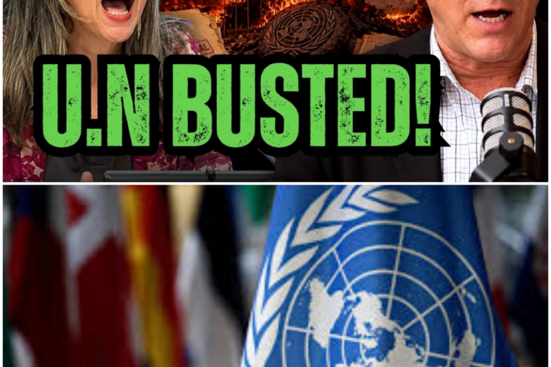 The UN Is In Huge Trouble If This Gets Released