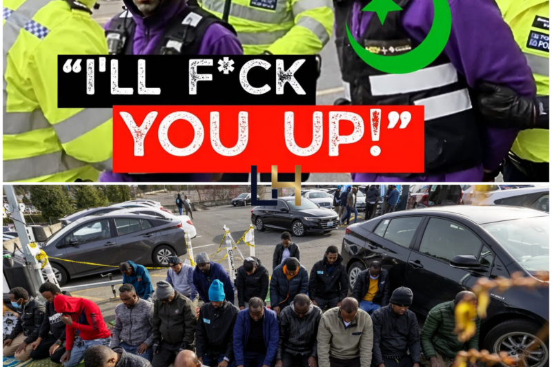 Muslim Parking Inspectors Act Like They OWN The Streets!
